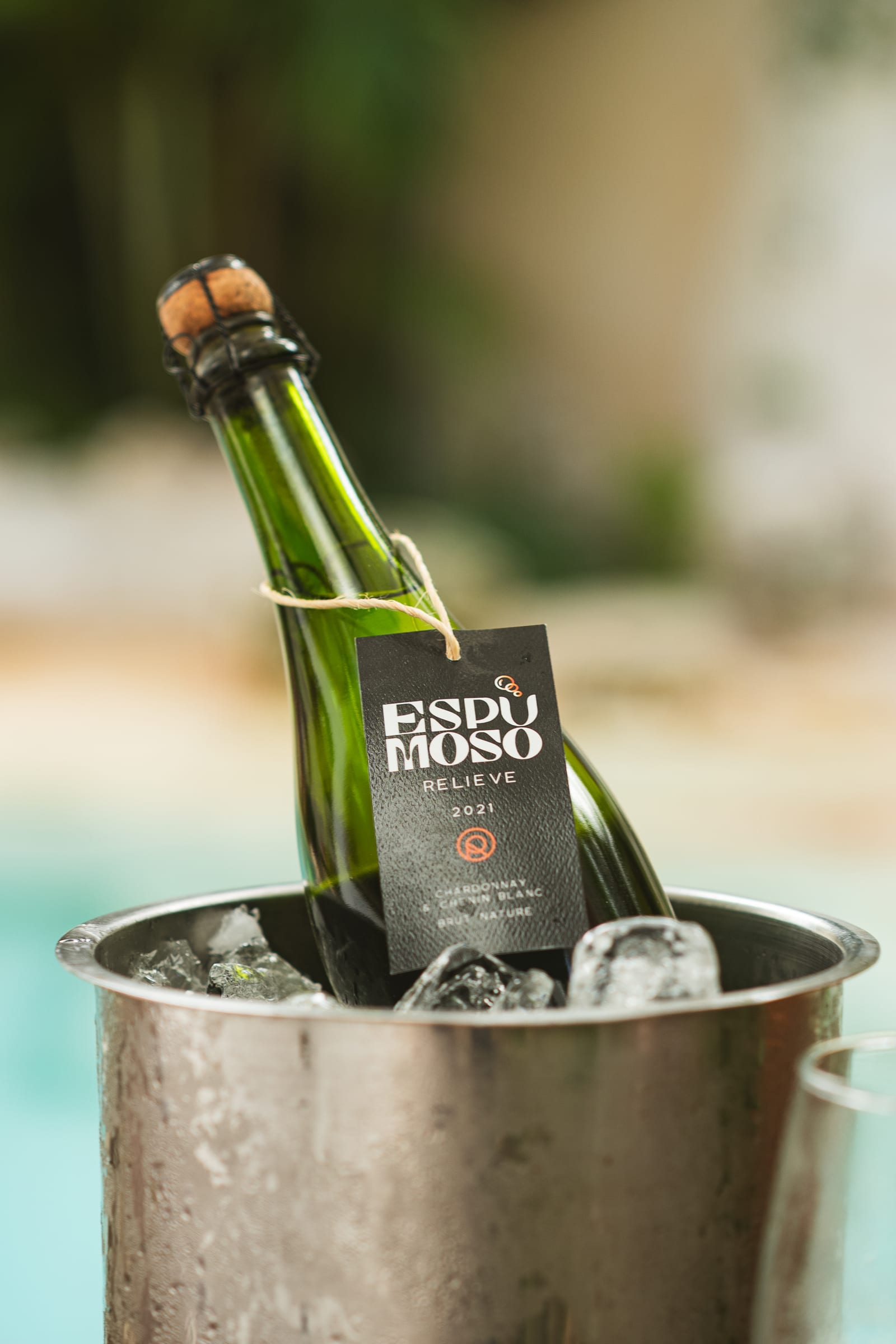Botella del espumoso mexicano Relieve 2021, Chardonnay y Chenin Blanc brut nature, enfriándose en una hielera