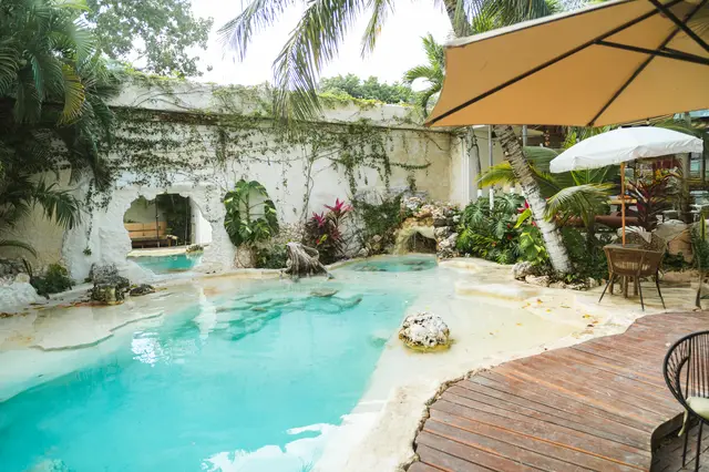Alberca tipo cenote con cascada, muros verdes y palmeras en Mezcal Boutique Hotel, casa de MERO 18