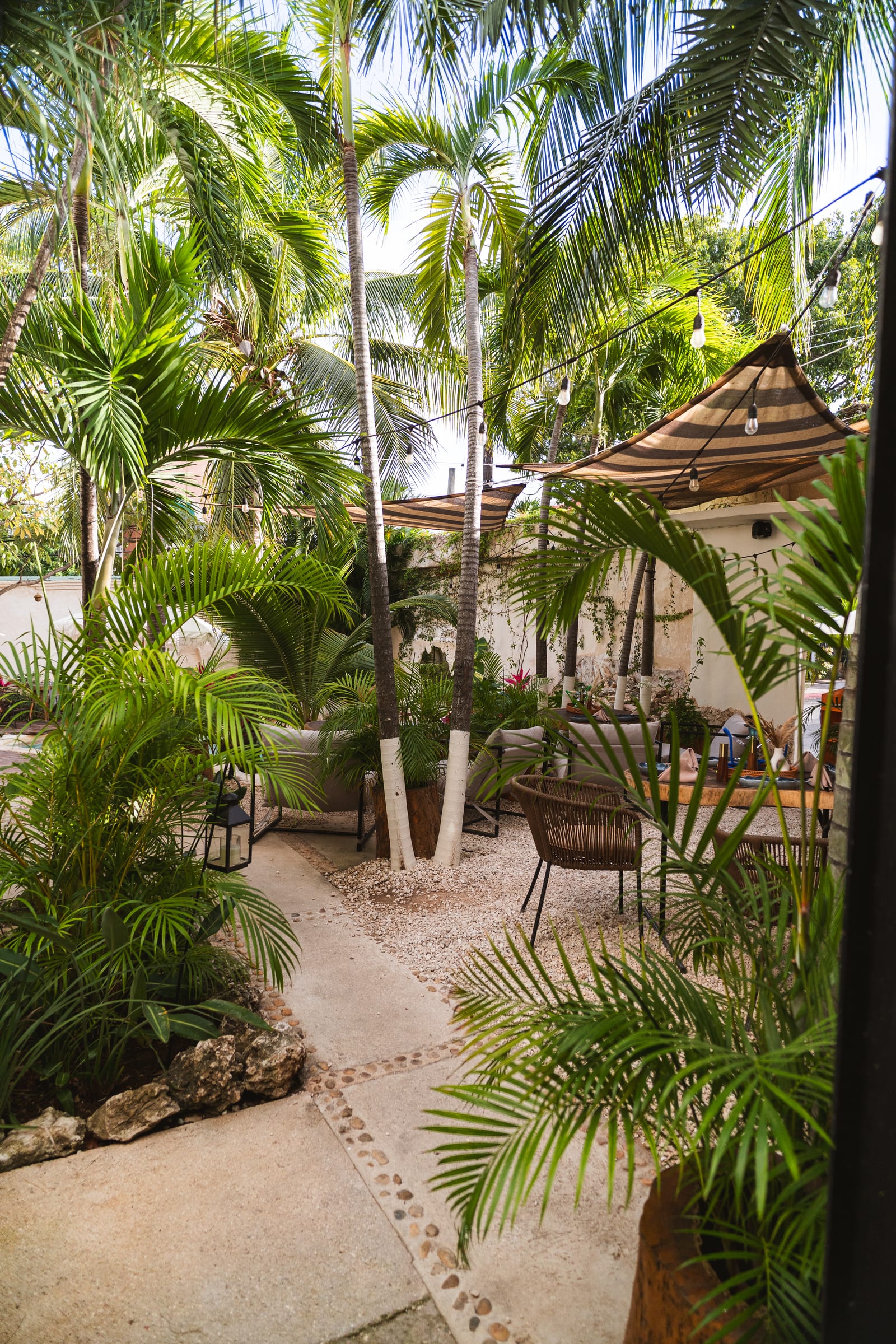 Jardín selvático de MERO 18 con palmeras, velarias y luces cálidas