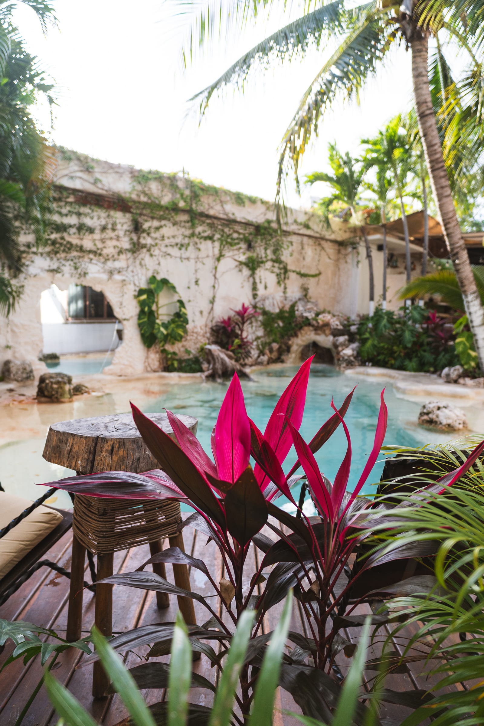 Rincón del jardín de MERO 18 con plantas rosadas junto a la alberca turquesa