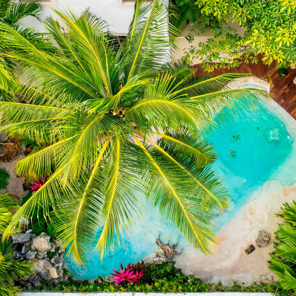 Vista aérea de la palmera sobre la alberca turquesa tipo cenote en el jardín de MERO 18